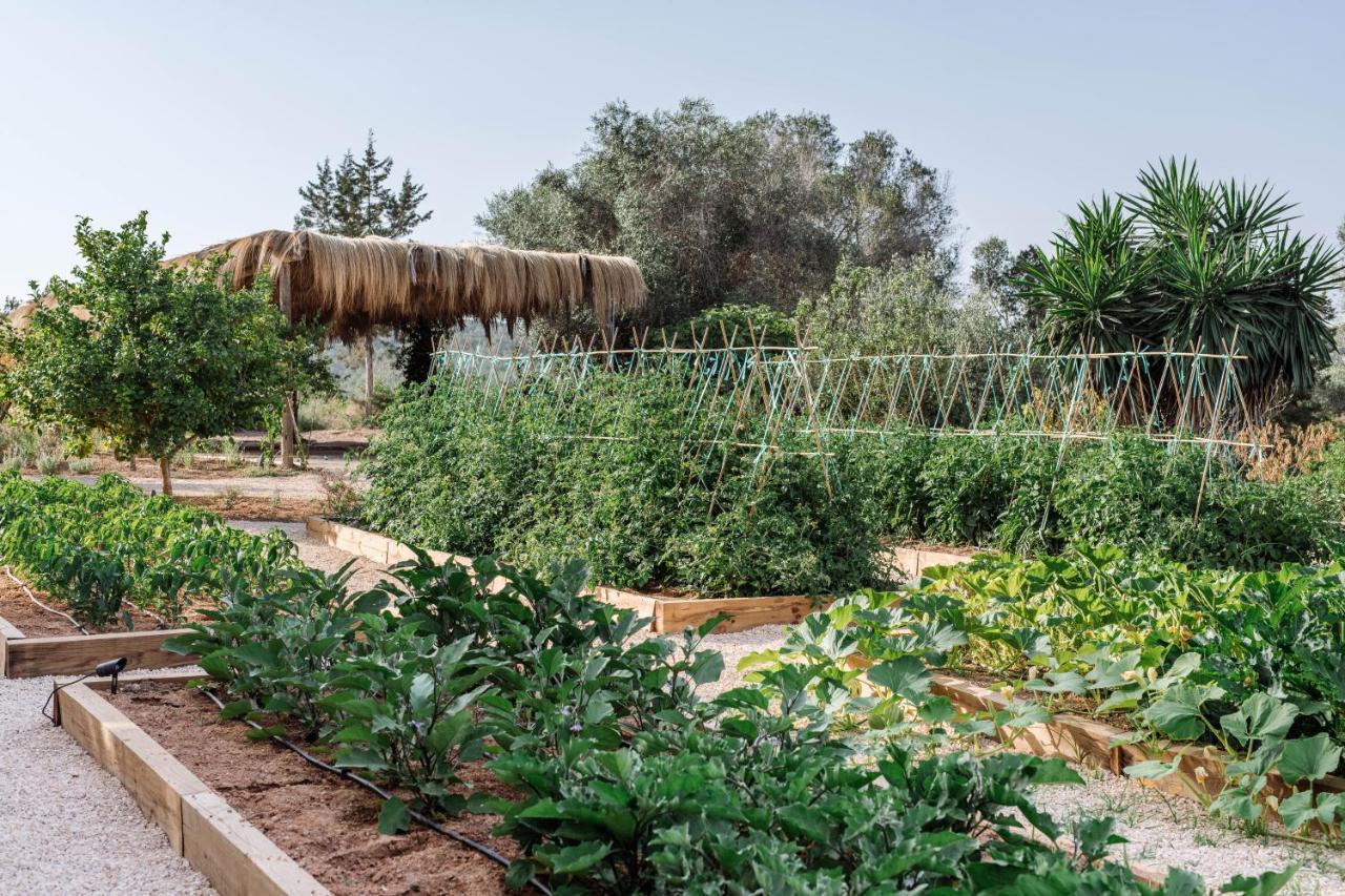 Agroturismo Can Domo Santa Eularia des Riu Bagian luar foto